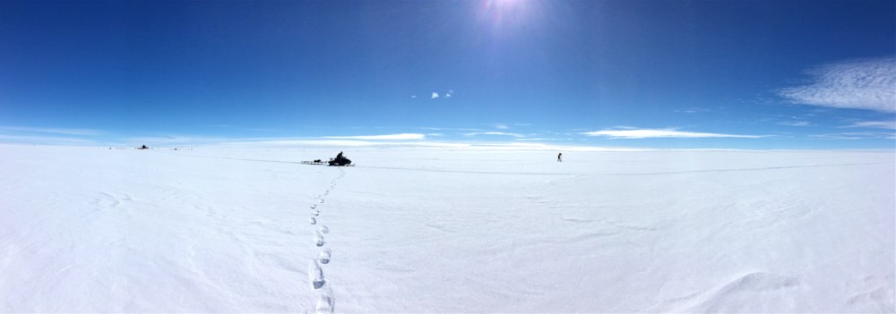 Screen Shot 2016-07-26 at 12.18.19 pm.jpg