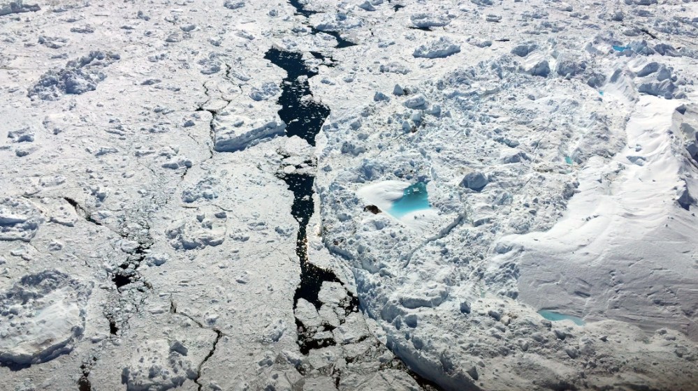 Screen Shot 2016-07-26 at 12.36.48 pm